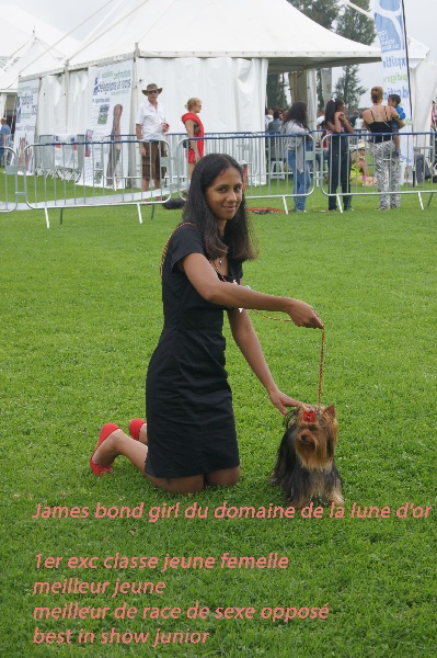 James bond girl Du Domaine De La Lune D'or