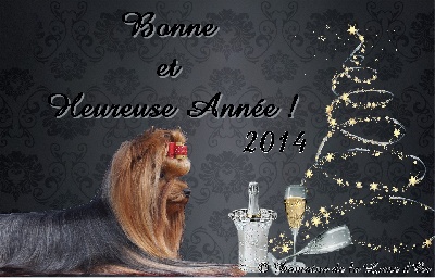 Du Domaine De La Lune D'or - Bonne Année 2014