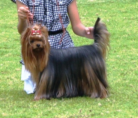 French'girl du clos de faurilles